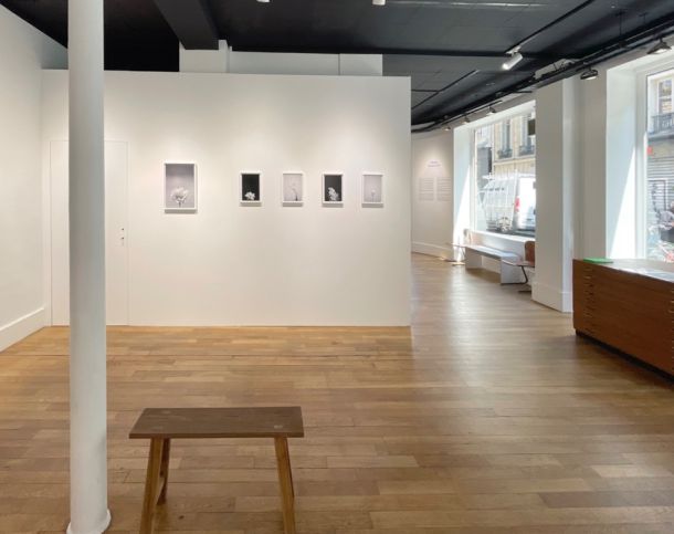 75003-90-1801-Archives